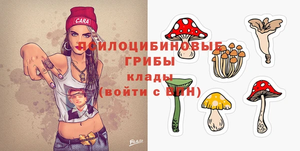 хмурый Сатка