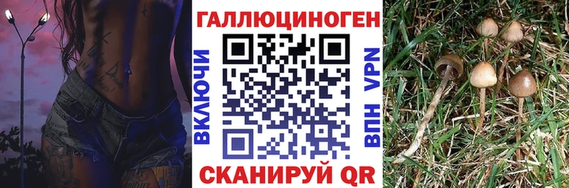 Псилоцибиновые грибы ЛСД Купить где Томари